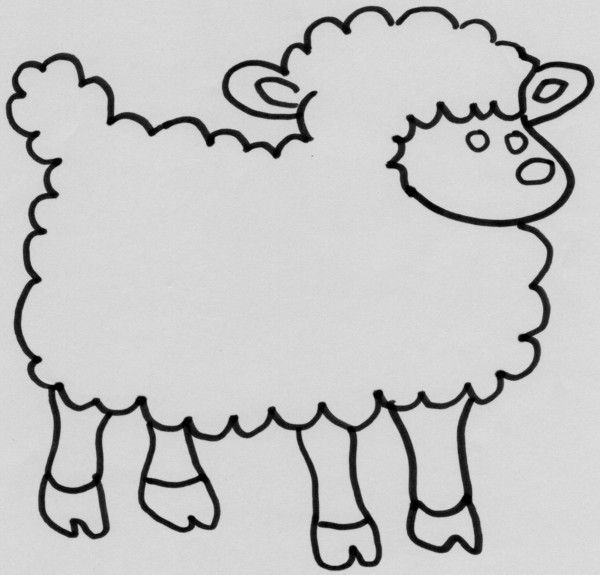 dessin de mouton